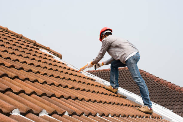 Best Solar Panel Roofing Installation  in Piggott, AR
